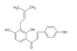 寶雞辰光生物銷售部 專業提供中藥標準品、對照品與植物提取物一站式服務